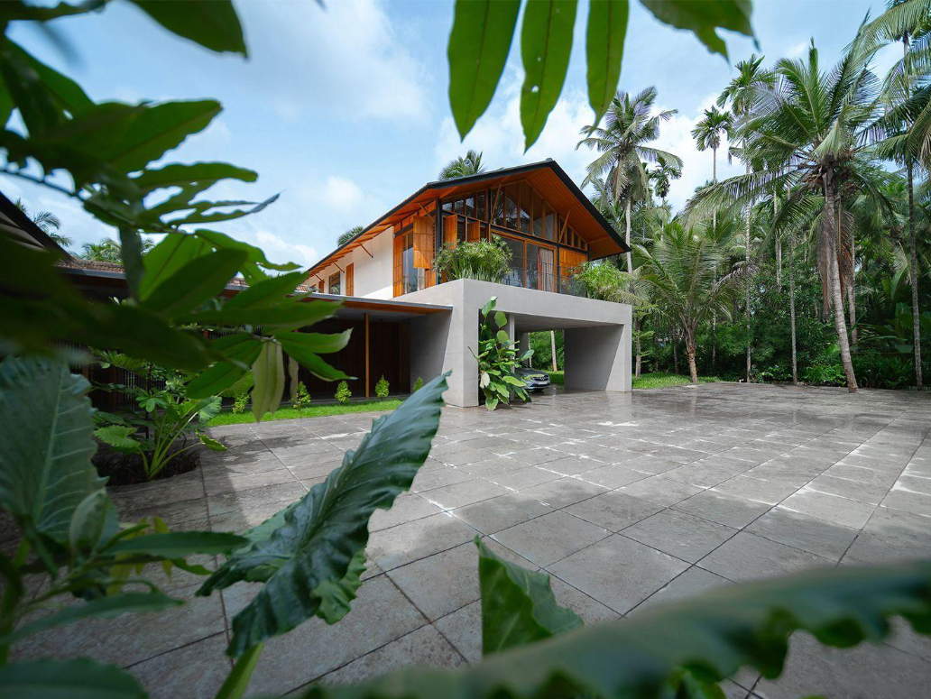 Timber and glass home framed by coconut palms and broad tropical foliage